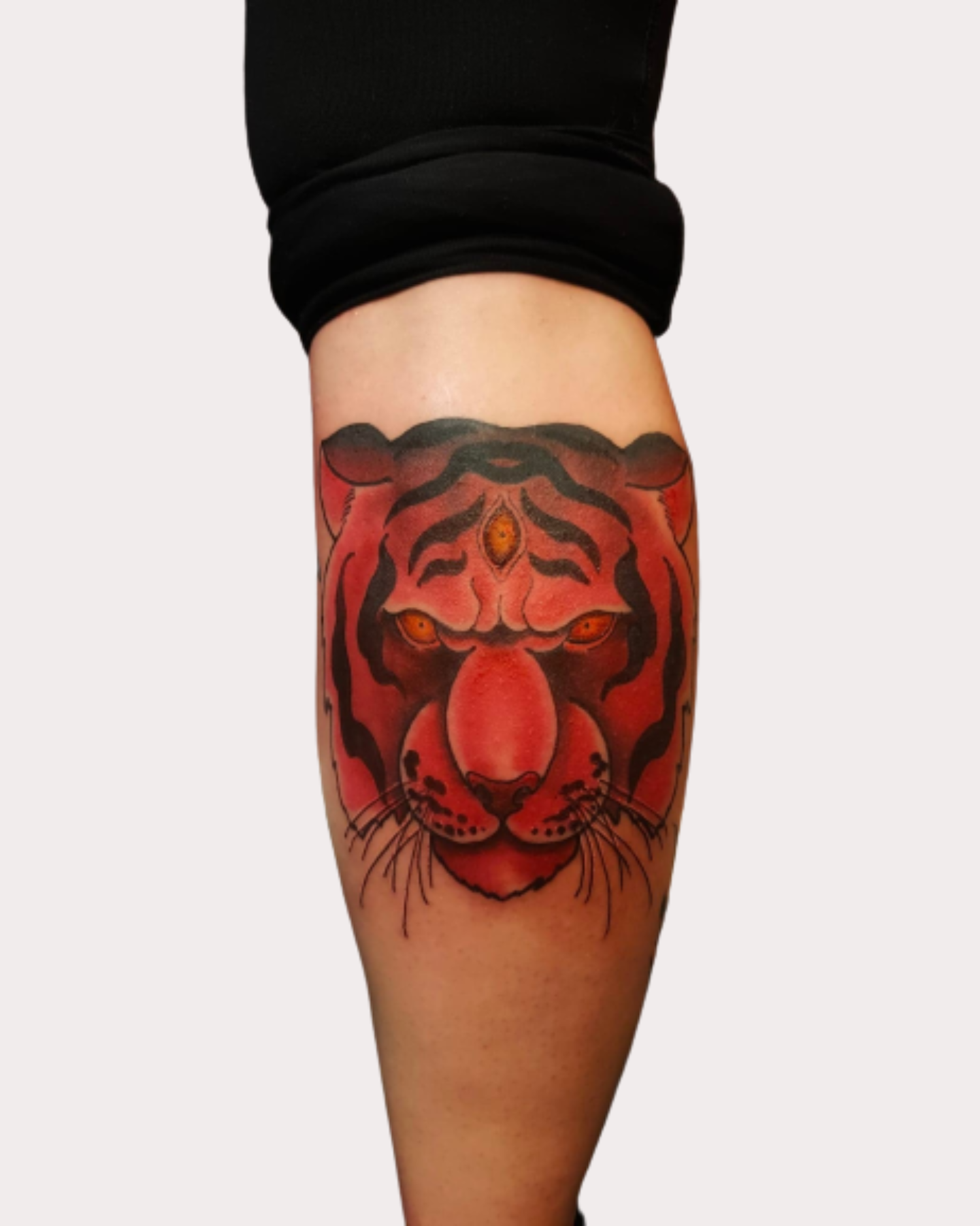 Lion rouge